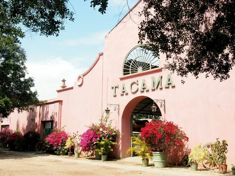 Tour pelas vinícolas de Ica com degustação de pisco