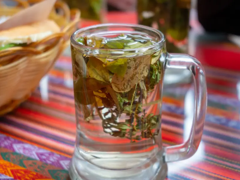 Chá de coca no Cânion do Colca